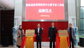 У������������� �Ƽ�����Ϊ������