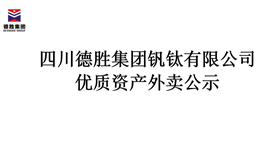 �����ʲ�������ʾ