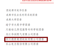 ob电竞·(中国)电子竞技平台钒钛团委荣获“四川省五四红旗团委”称呼