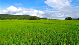 ��������|���󹲽������������������������ܳ��������ʡ�