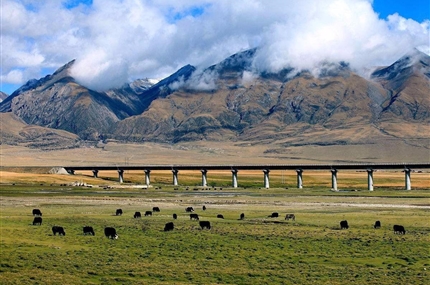 ������·