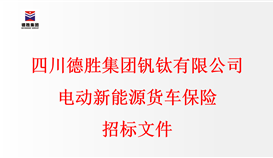 �Ĵ�ob�羺��(�й�)���Ӿ���ƽ̨�������޹�˾�綯����Դ���������б��ļ�