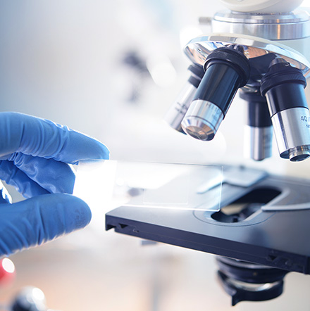 ����֧��Ч��